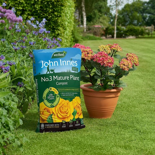 Westland john innes - john,