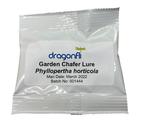 Dragonfli chafer grub - dragonfli,