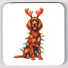 Irish Red Setter Coaster