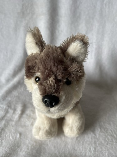 Ravensden grey husky - ravensden, puppy