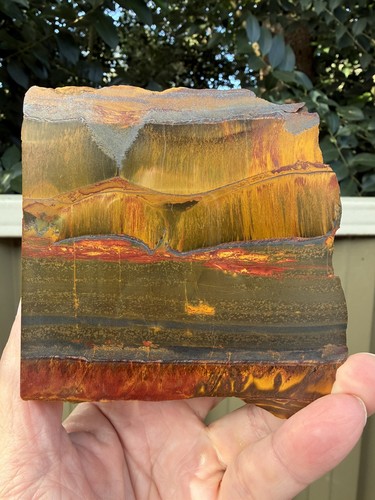 Aussie tiger eye mara - -,