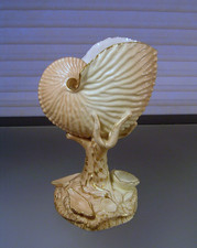 Royal Worcester Nautilus