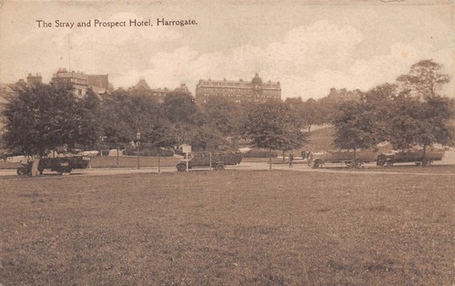 Postcard harrogate the stray - postcard,