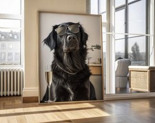 Trendy Black Golden Retriever