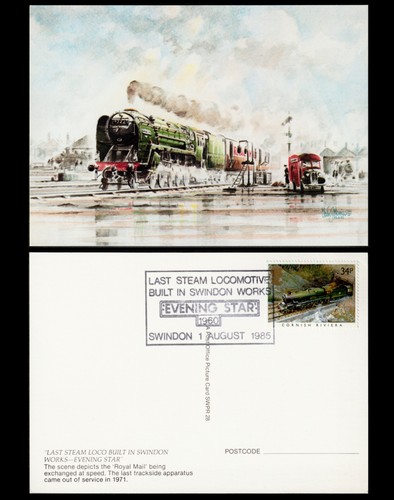 Cornish riviera last steam - last,