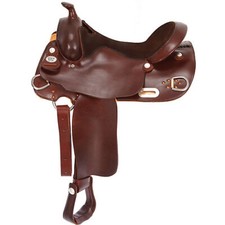 Royal King Arabian Trainer