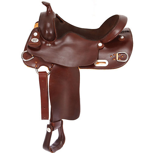 Royal king arabian - arabian, trainer