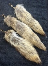 🦊🦊L@@K GENUINE COYOTE