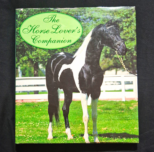 The horse lover companion - horse,