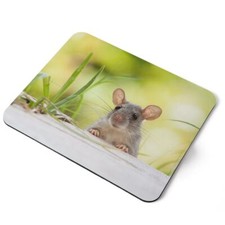 Mouse Mat Pad - Wild Little
