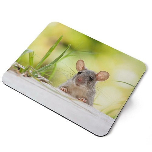 Mouse mat pad - mouse,