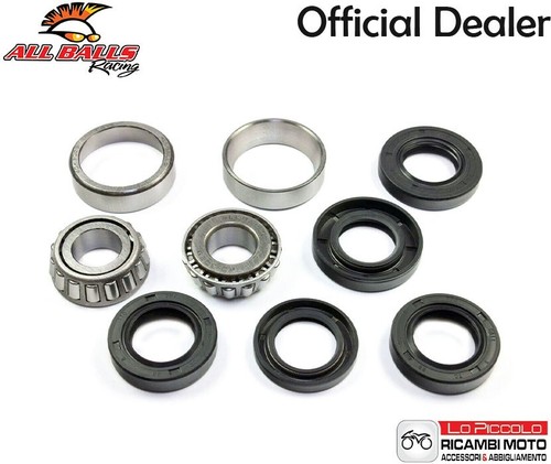 1523 bearing kit all balls - kit,