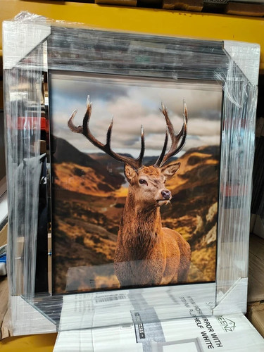 Stag raindeer highlands - stag, in