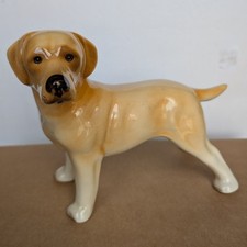 Large token pottery labrador - pottery,