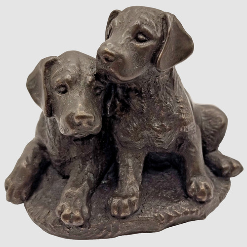 Labrador puppies bronze - puppies,