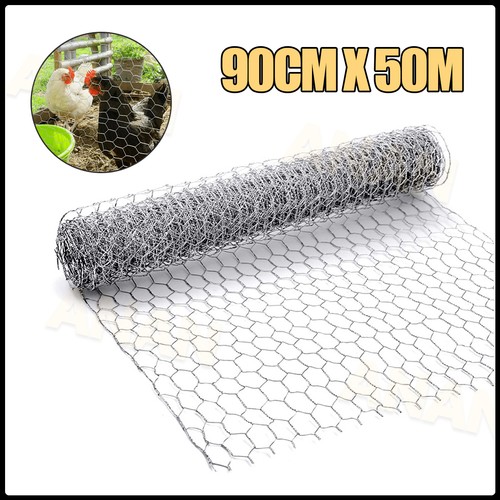 Galvanised chicken wire mesh - wire,