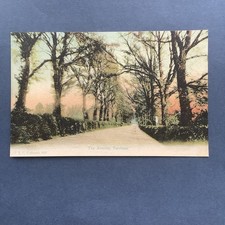 The Avenue Fareham  pc unused