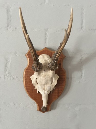 Three vintage antique wall - three,