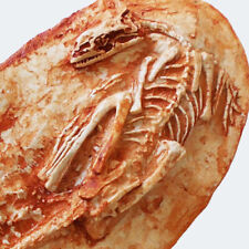 Detailed MICRORAPTOR dinosaur