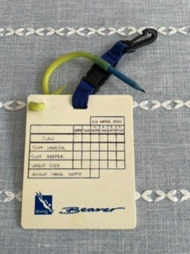 Beaver scuba dive slate with - beaver,