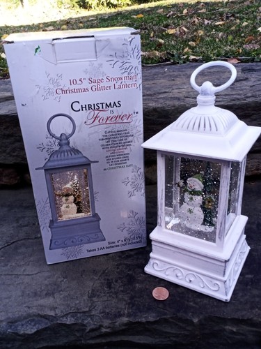 Sage snowman christmas - christmas, glitter