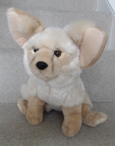 Nature planet fennec - fennec, soft