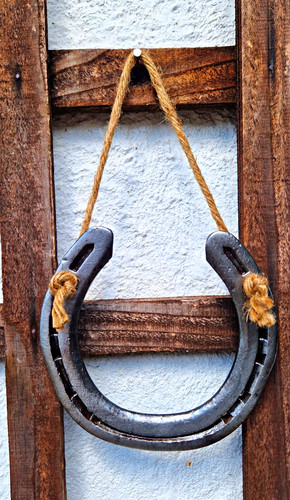 Rustic lucky horseshoe - rustic,