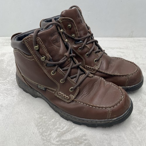 Irish setter work - irish,