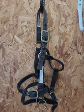 Monty Roberts Join-up Dually