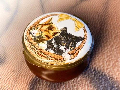 Cats kittens basket - in,