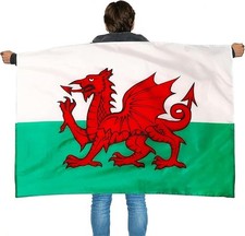 Wales Flag 5x3FT Large CYMRU
