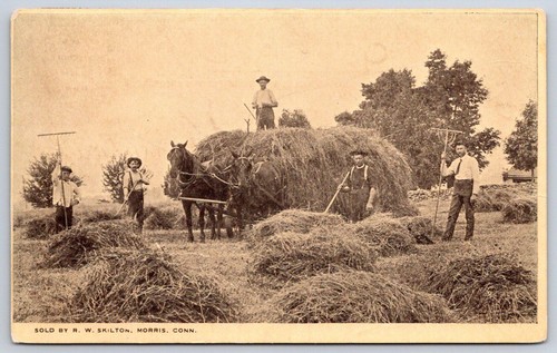 Antique connecticut postcard - antique,