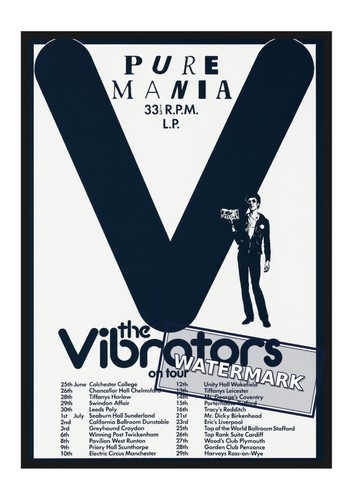 The vibrators gig poster - the,