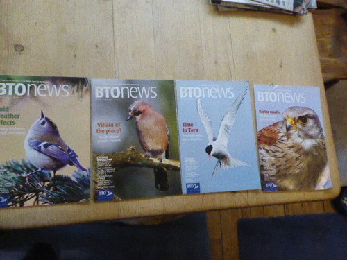 Bto news bird magazines - news,
