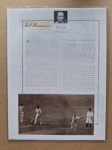 Rare tich freeman - (a.p.), kent