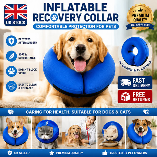 Dog cat inflatable - dog,