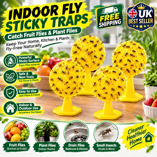 Pack indoor fly sticky traps - 4,