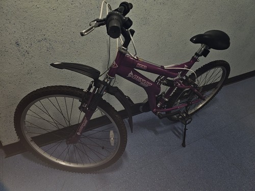 Mountain bike - mountain,
