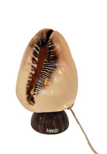 Vintage conch shell lamp - vintage,