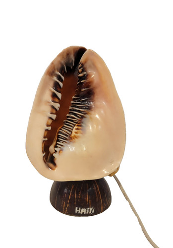 Vintage conch shell lamp light - vintage,