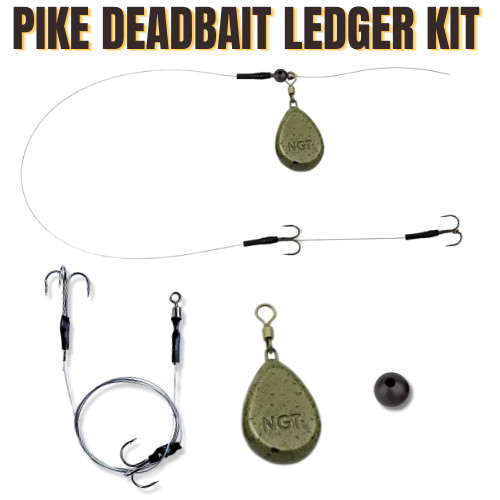 Pike deadbait rig - deadbait,