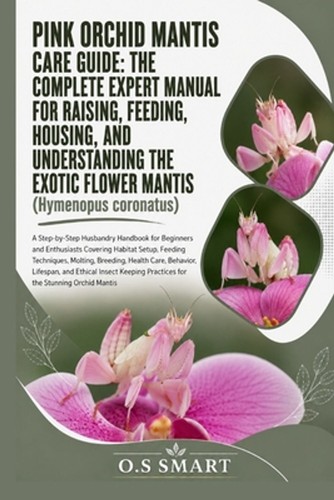 Pink orchid mantis care - mantis,