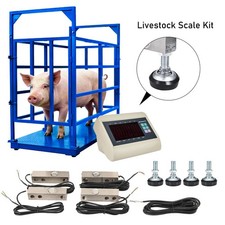 Livestock Scale 10000LBS