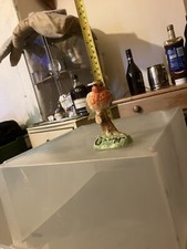 Border Fine Arts Robin 