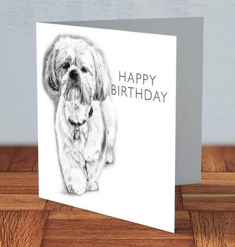 Shih tzu lhasa - tzu,