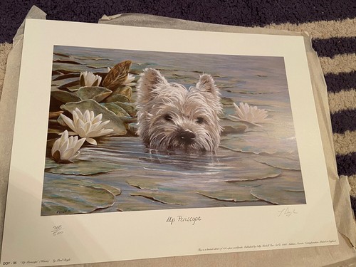 Westie dog periscope - dog, up