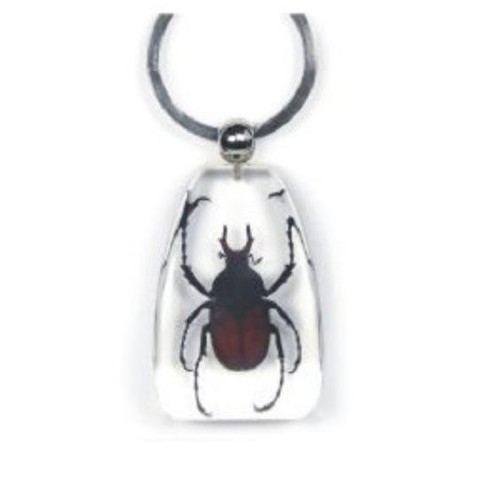 Real insect key - real, ring