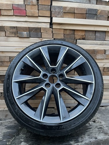 Genuine skoda rapid - genuine, 14-19