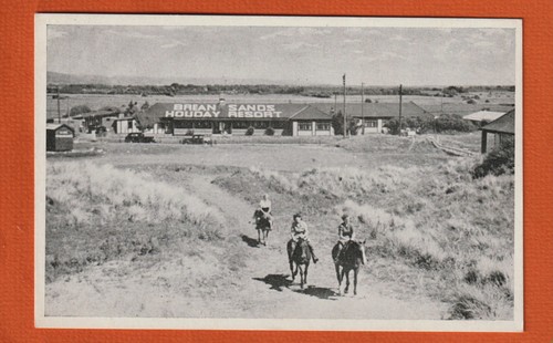 Postcard horses and riders - postcard,,