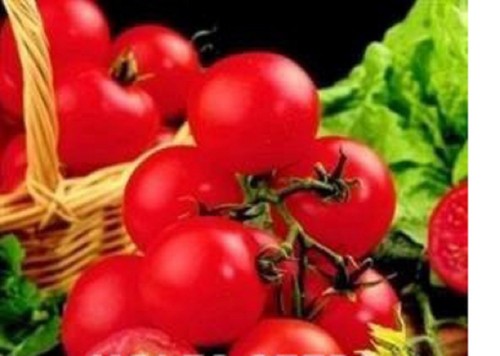 Tomato mini plug - tomato,